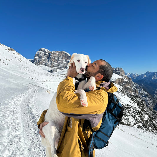 Avventure invernali con il proprio cane